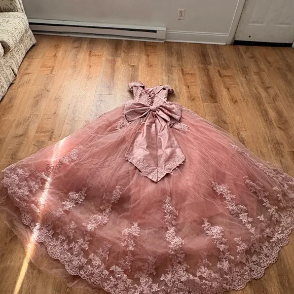 Amazon Dusty Rose Lace Tulle Ball Gown Dress with Bow - Picture 7 of 7
